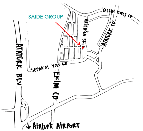Saide Group Maps